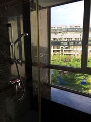 Flamingo Valley (D15), Condominium #546098251
